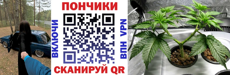 МАРИХУАНА Amnesia  закладки  Чердынь 